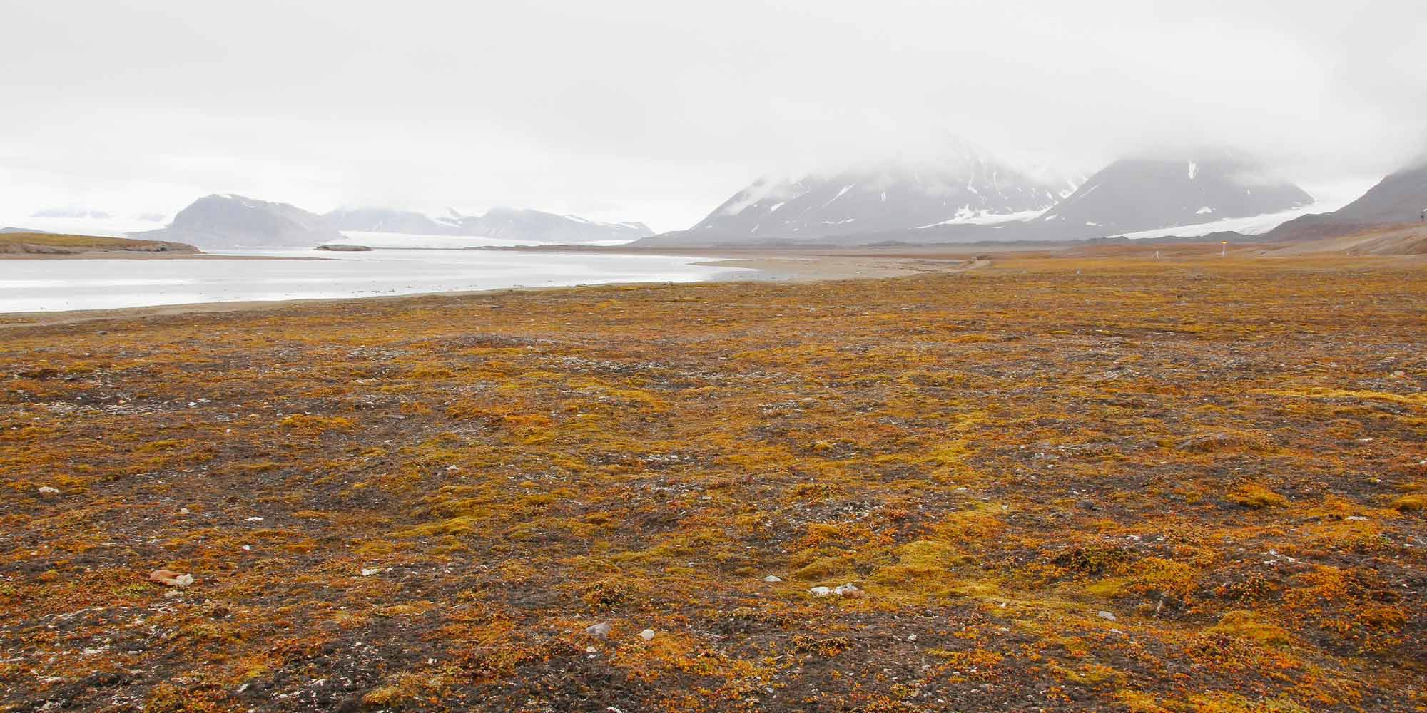 Panoramic view into the tundra near ny alesund, Svalbard