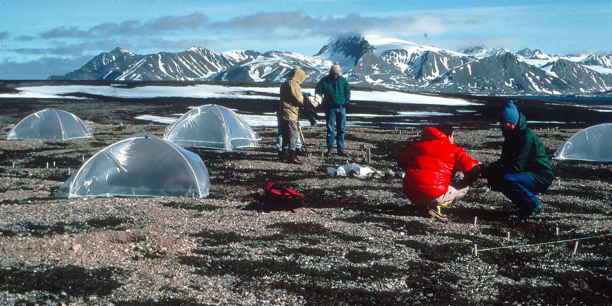Studying the effects of warming on insects and other arthropods.